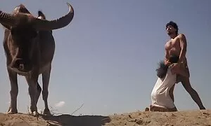 دختر یک دوست اوا صحنه جنس سایت سینمایی سکسی