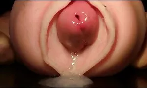 معکوس, با کس فیلم سکسی