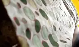 جاسوس, جاسوسی, جدیدترینفیلمسکسی