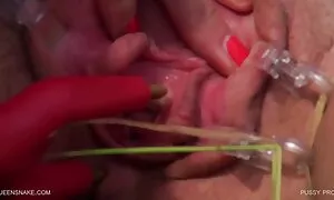 گربه محصول - queensnake.Com - queensect.Com  سايت سكسي زنان كيردار