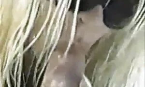 افراد مشهور, دانلود فیلم سکسی سینه