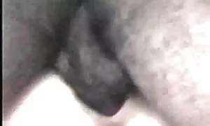 هتل سرگرم کننده, تصویری فیلم سیکس کردی