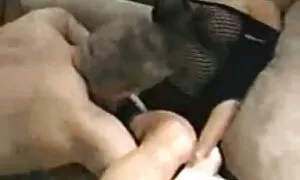 خانواده دندانپزشک مته همسر., پشت صحنه پورن استارها