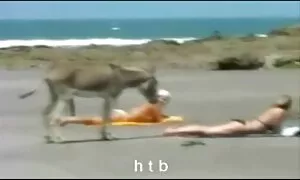 باحاله4.اچ تی بی سکس باکیرکلفت