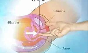 تقدیر (انزال زن) نیز به عنوان vy شناخته شده است. عکس کس و کون خارجی
